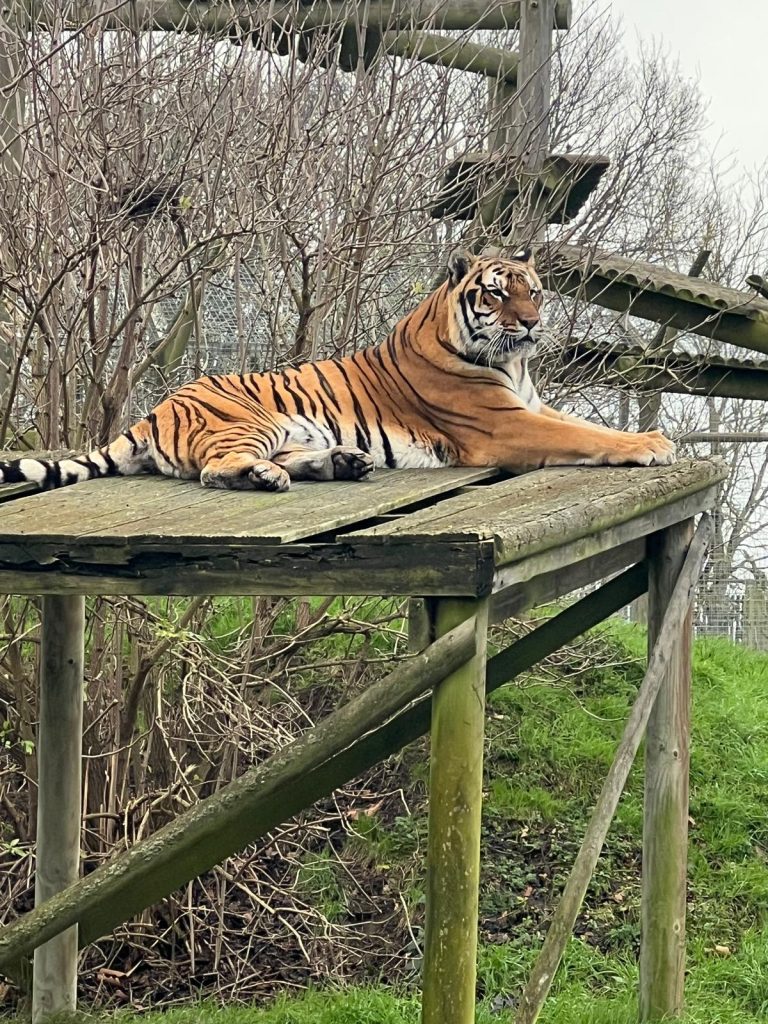 whatsapp-image-2026-04-15-at-113120