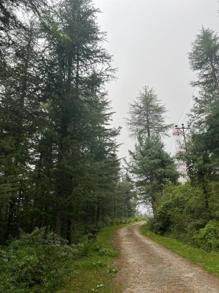 whatsapp-image-2026-04-15-at-113214-1