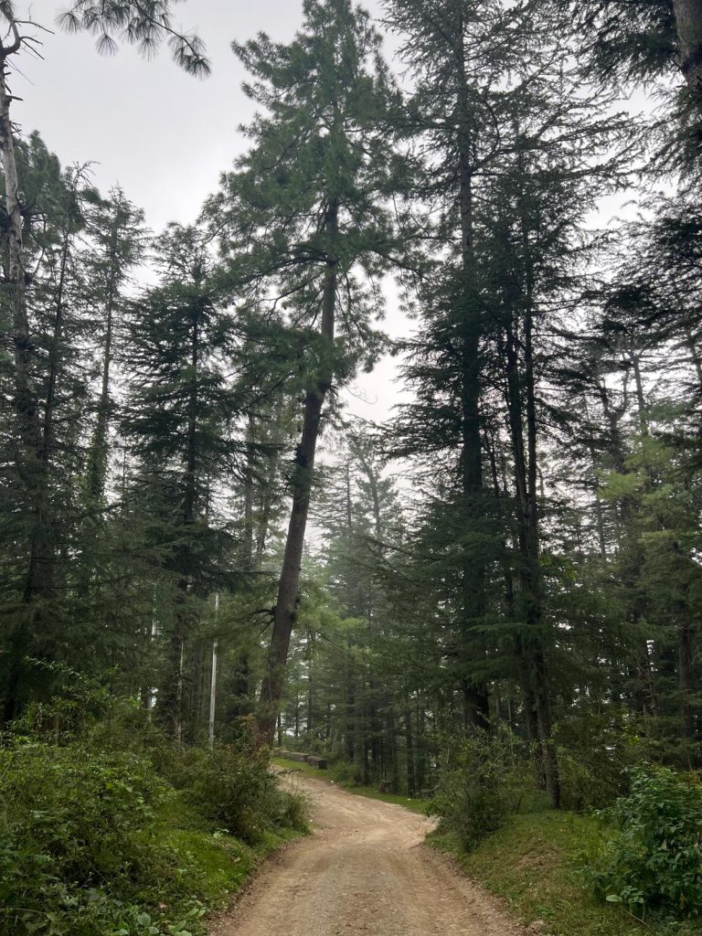 whatsapp-image-2026-04-15-at-113214