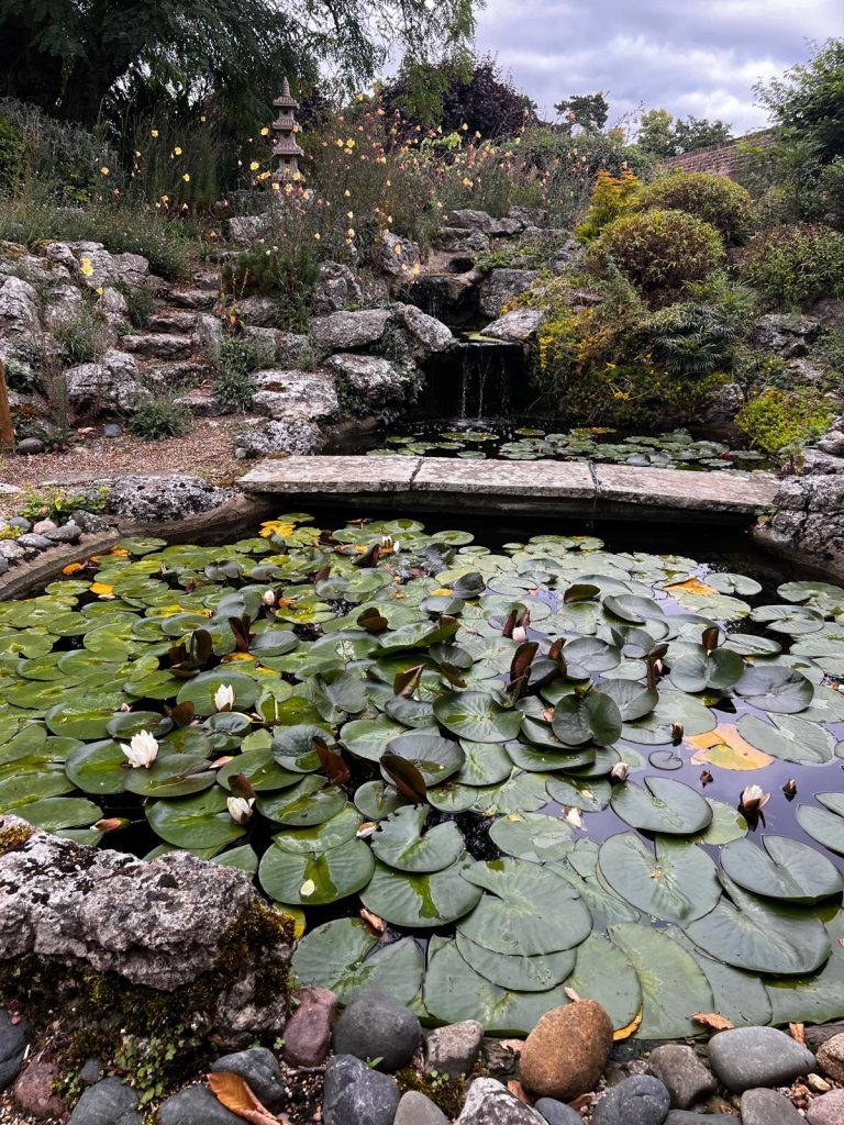 whatsapp-image-2026-04-15-at-122803